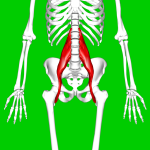 Psoas